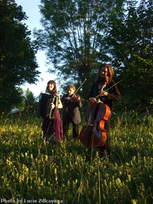 Stahlhammer Klezmer Classic Trio, Gotlandsturné, 2014